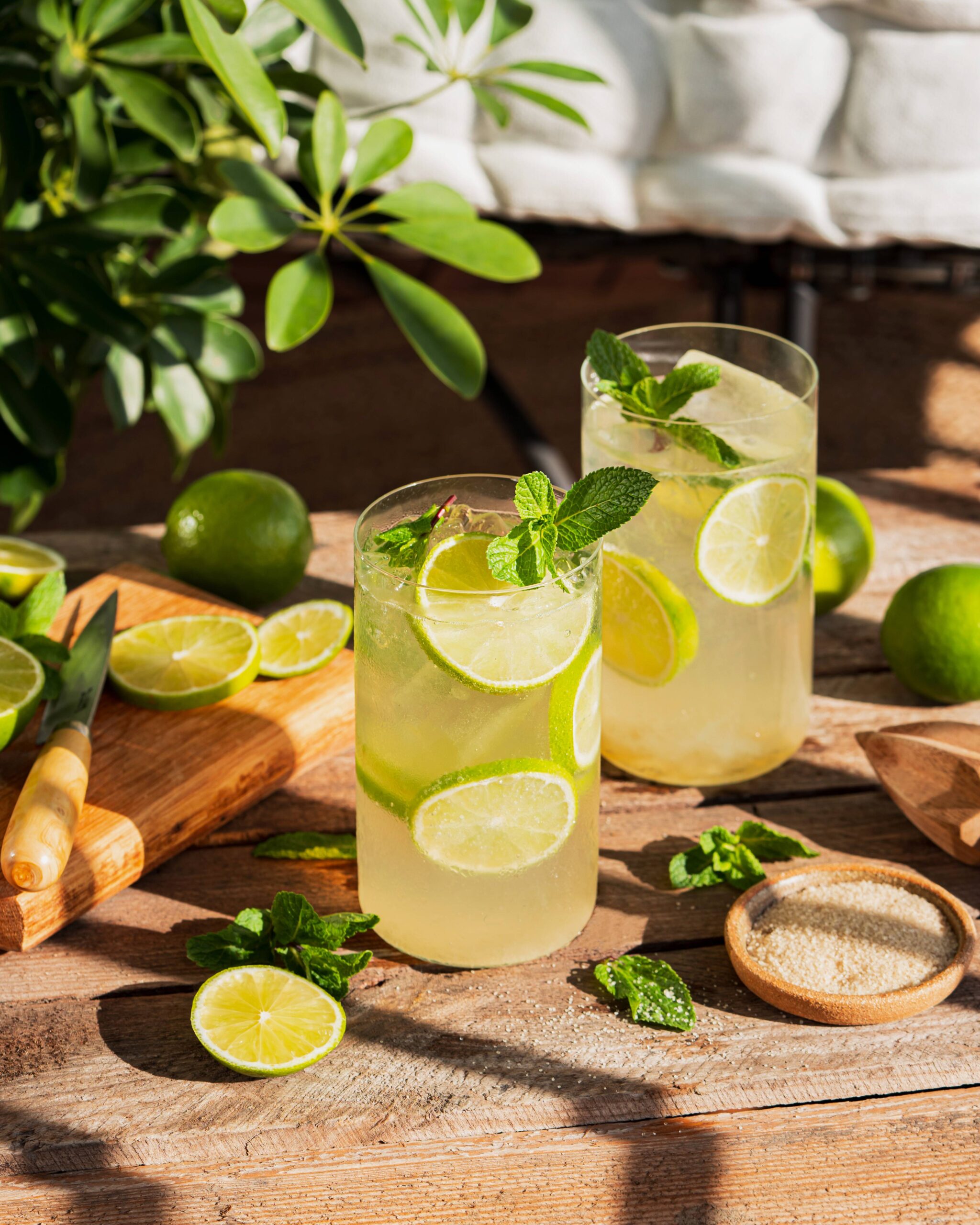 Mojito