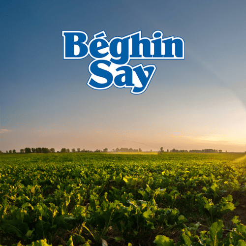 SLIDER IMAGES - PRODUITS PUSH - PAGE MARQUE BEGHIN SAY (4)